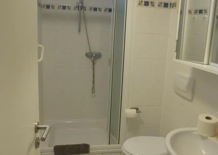 Ferienhaus Haus Für Monteure In Bingen am Rhein